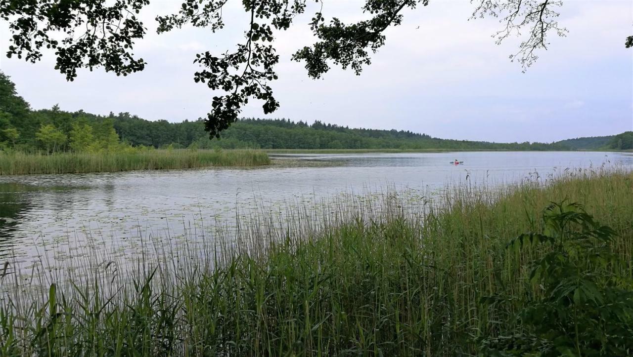 Вілла Ferienhaus Dora Рехлін Екстер'єр фото